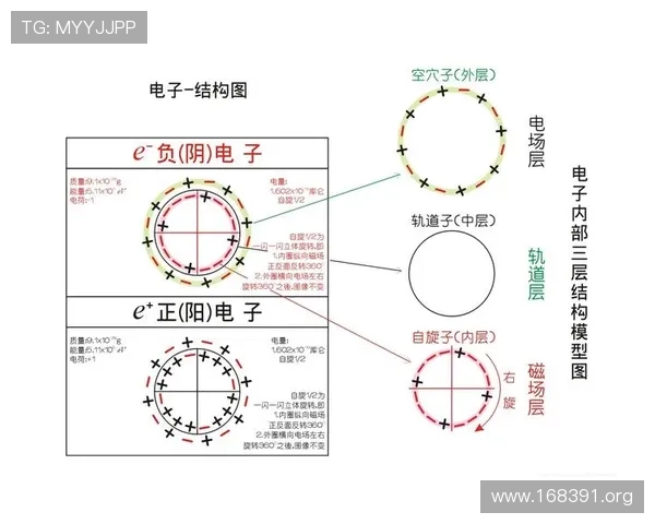 关于18电子构型的详细解析与应用探讨